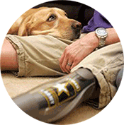 Donate to help us provide veterans with service dogs