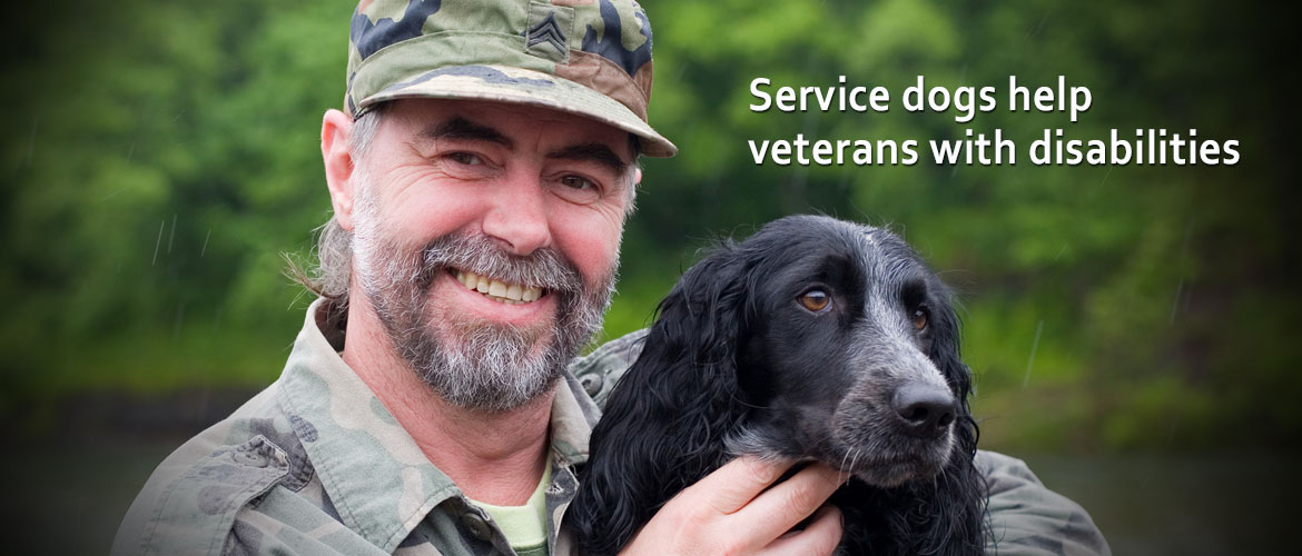 Service dogs for veterans with disabilities