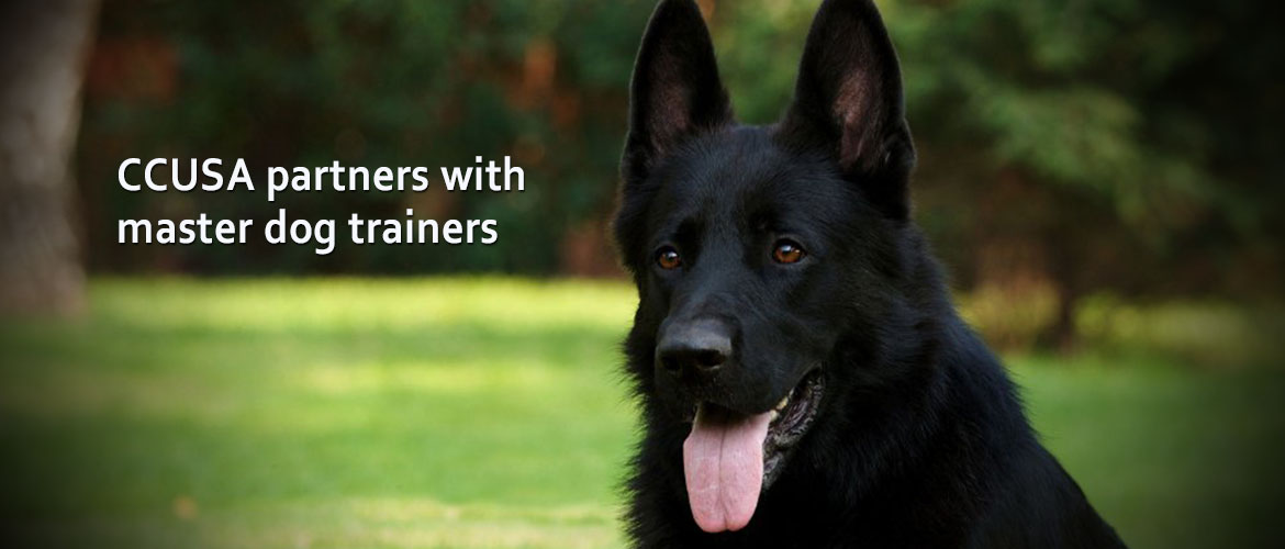 CCUSA partners with master trainers