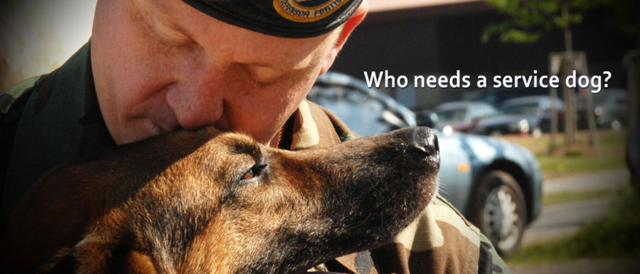 canine-companions-usa-service-dogs-for-veterans-service-dogs-free